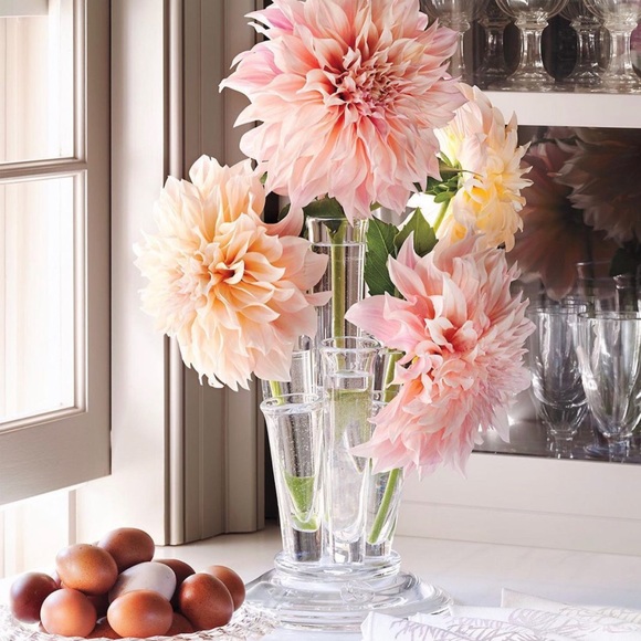 Welcome - Picture 11 of 16